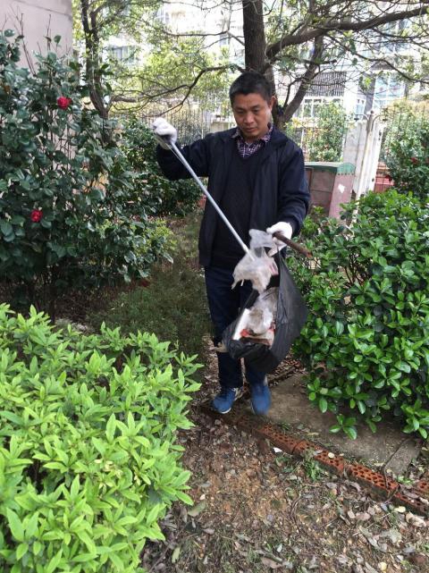 控制鼠害、預防疾病，構建和諧文明社區(qū)